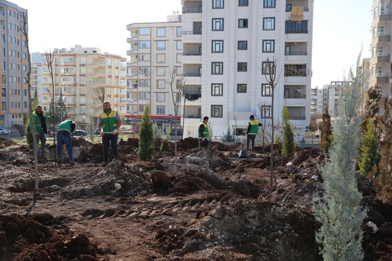 Karaköprü’de 9 bin metrekarelik parkta ağaçlandırma çalışmaları yapıldı