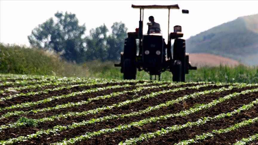 Tarım arazilerindeki projelere yüzde 75'e varan hibe desteği verilecek