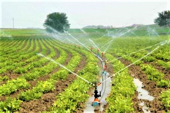 Tarımsal girdi fiyat endeksi verileri açıklandı