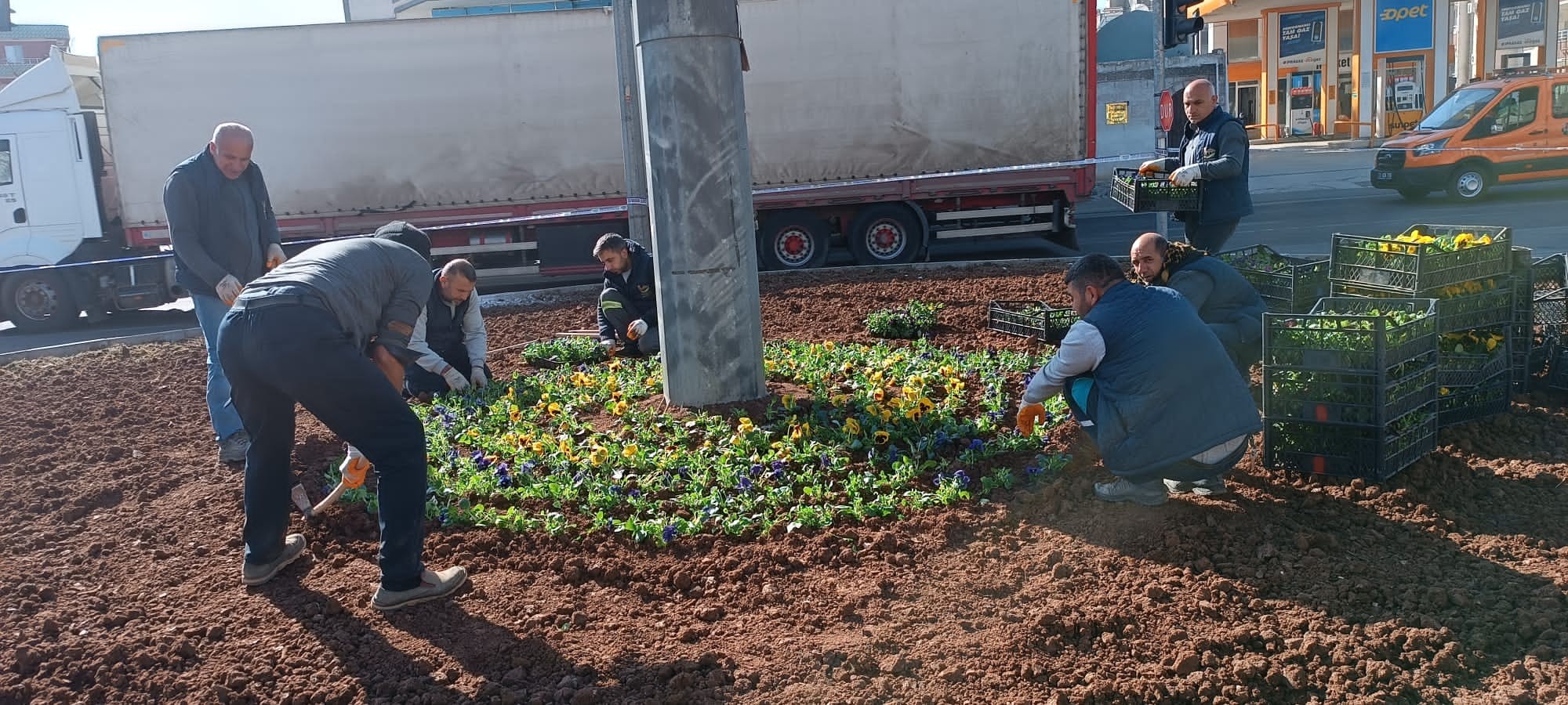 Viranşehir’de belediyeden peyzaj çalışması