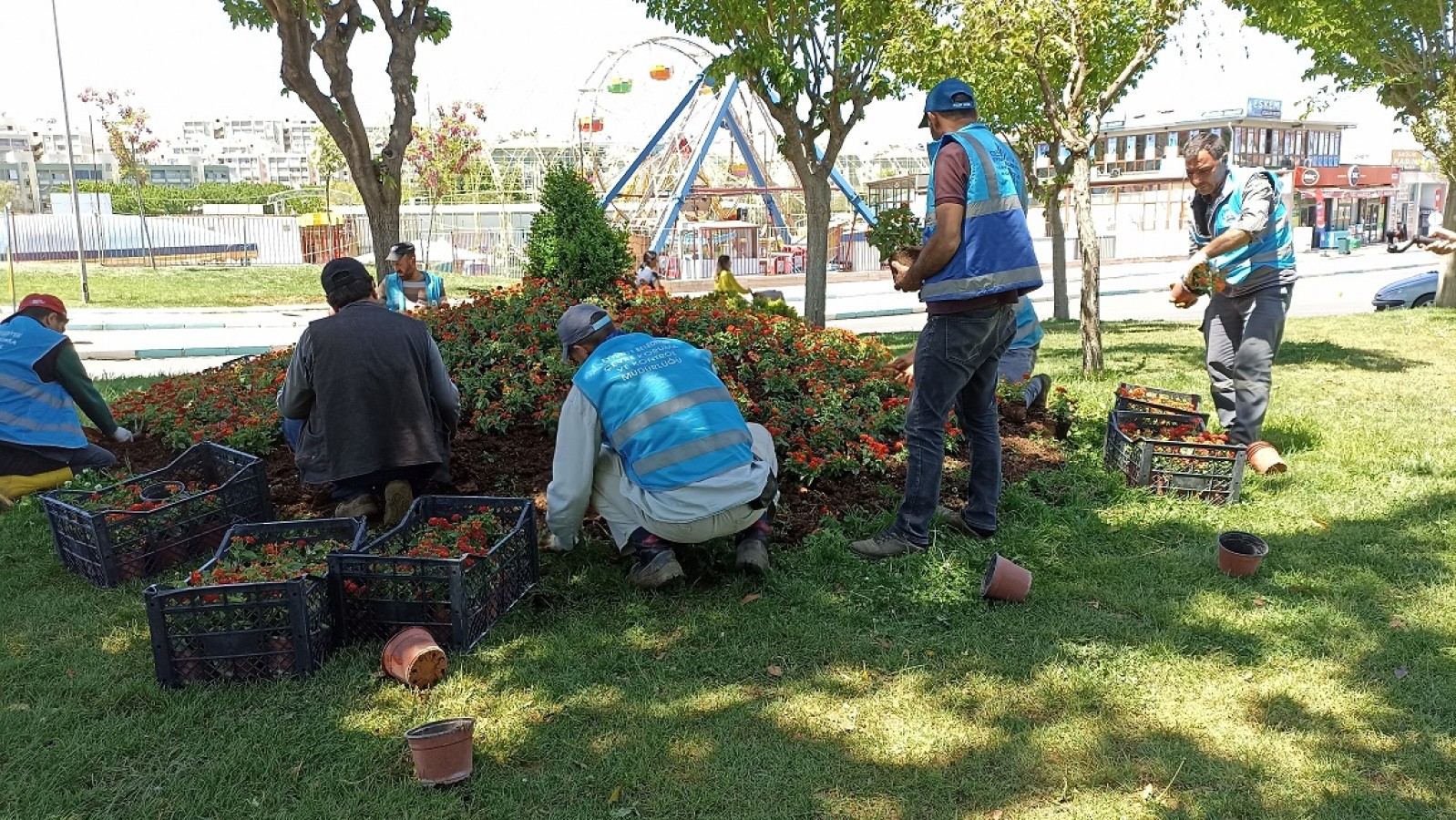 Eyyübiye parkları çiçeklerle renkleniyor