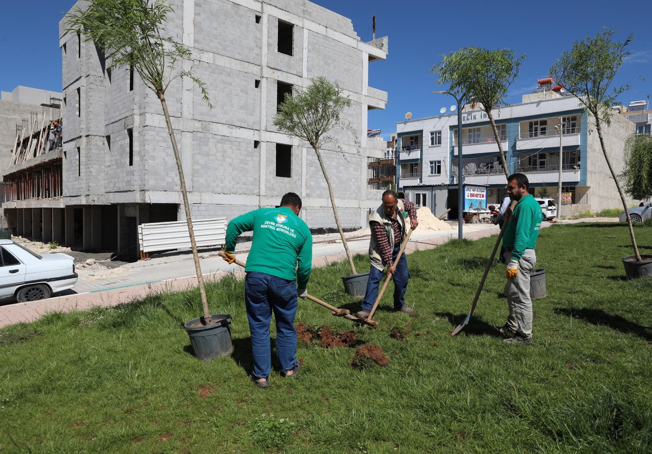 Haliliye Belediyesi parklarda ağaçlandırma çalışması yapıyor