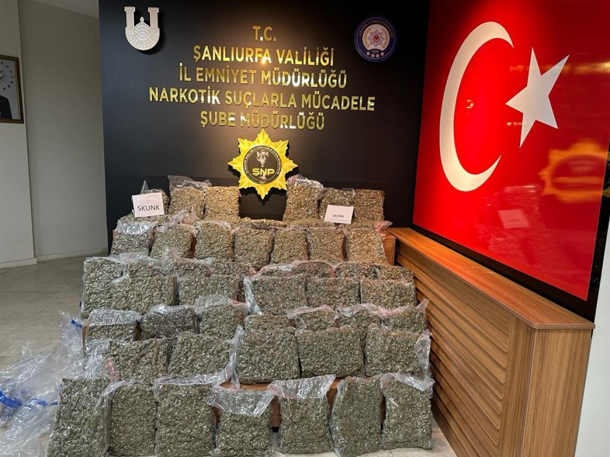 Şanlıurfa'da 55 kilo 750 gram skunk ele geçirildi