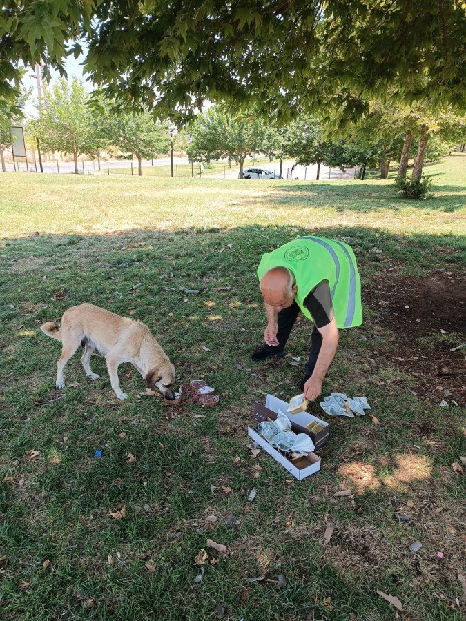 Urfa’da sokak hayvanları için mama bırakıldı