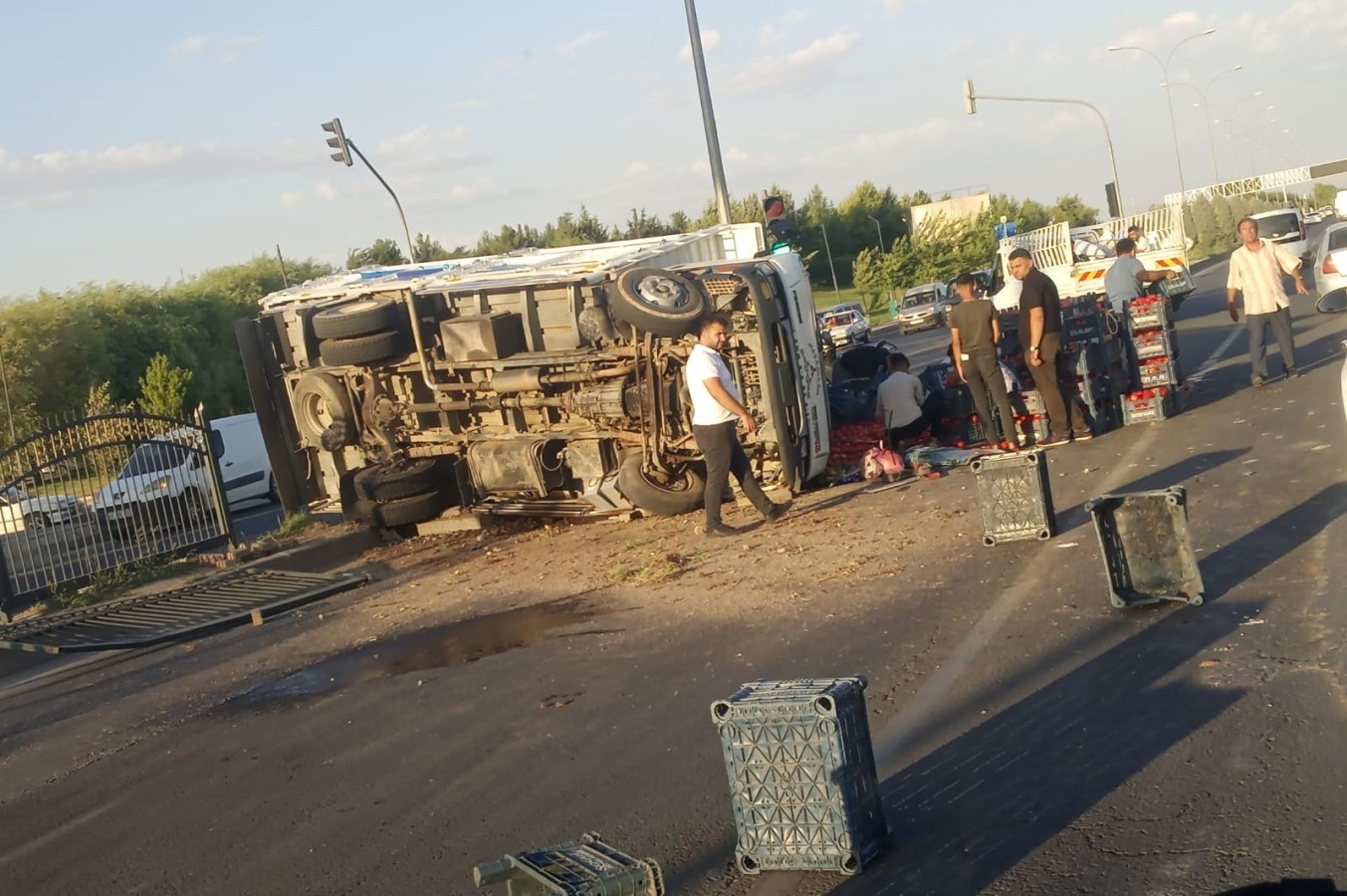 Şanlıurfa'da domates yüklü kamyon devrildi!