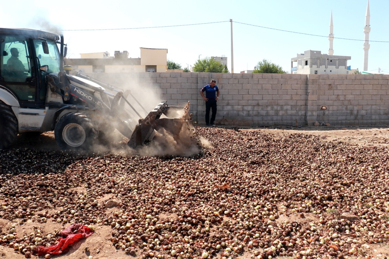 Akçakale’de 4 ton çürümüş soğan ele geçirildi