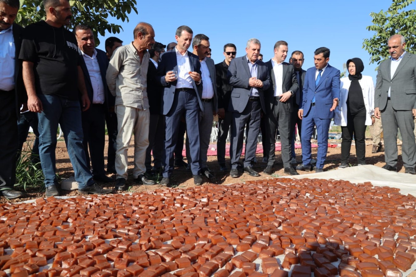 Şanlıurfa'da ‘Şire Şenliği’ renkli görüntülere sahne oldu