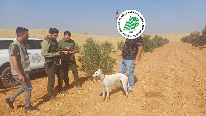 Şanlıurfa'da usulsüz av yapanlara ceza;