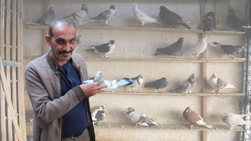 Urfa’daki kuşların fiyatı lüks arabalarla yarışıyor