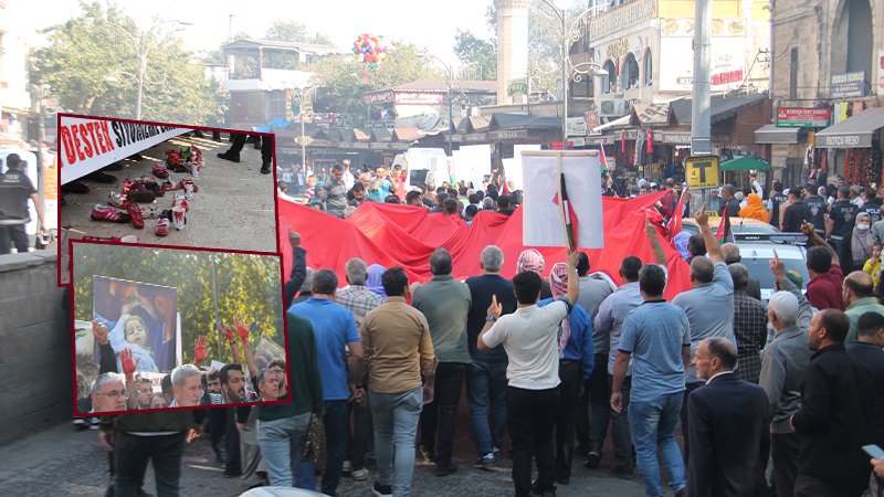 Urfa’da Filistin için yürüyüş düzenlendi;