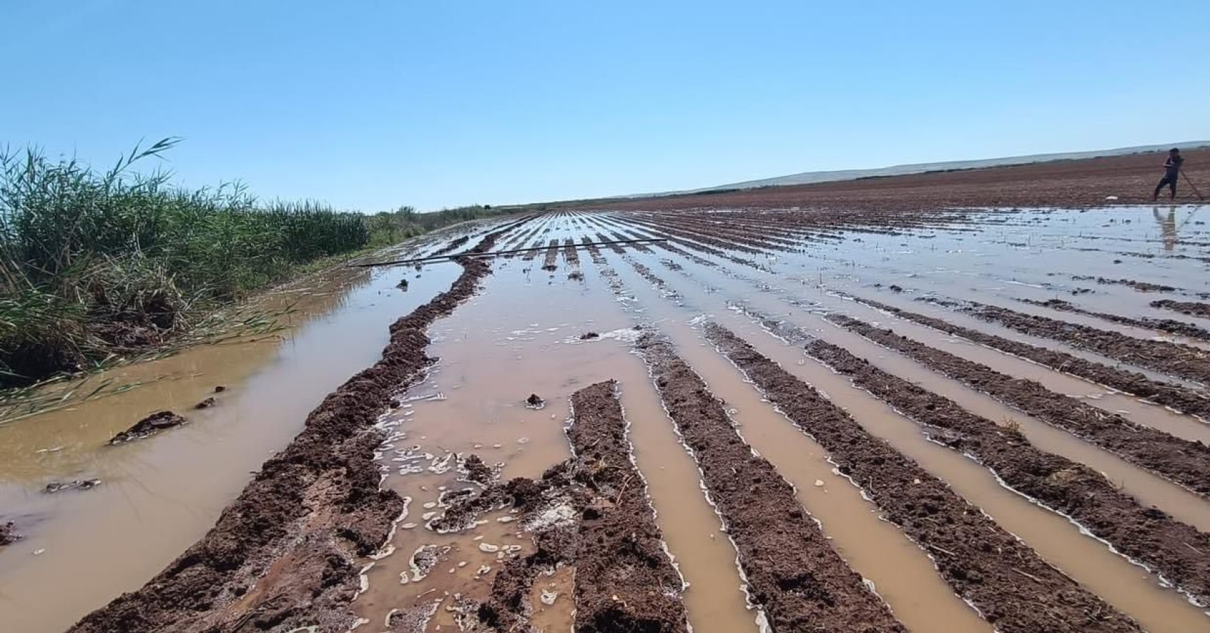 Suruç’ta DSİ kanalı patlayınca tarlalar sular altında kaldı