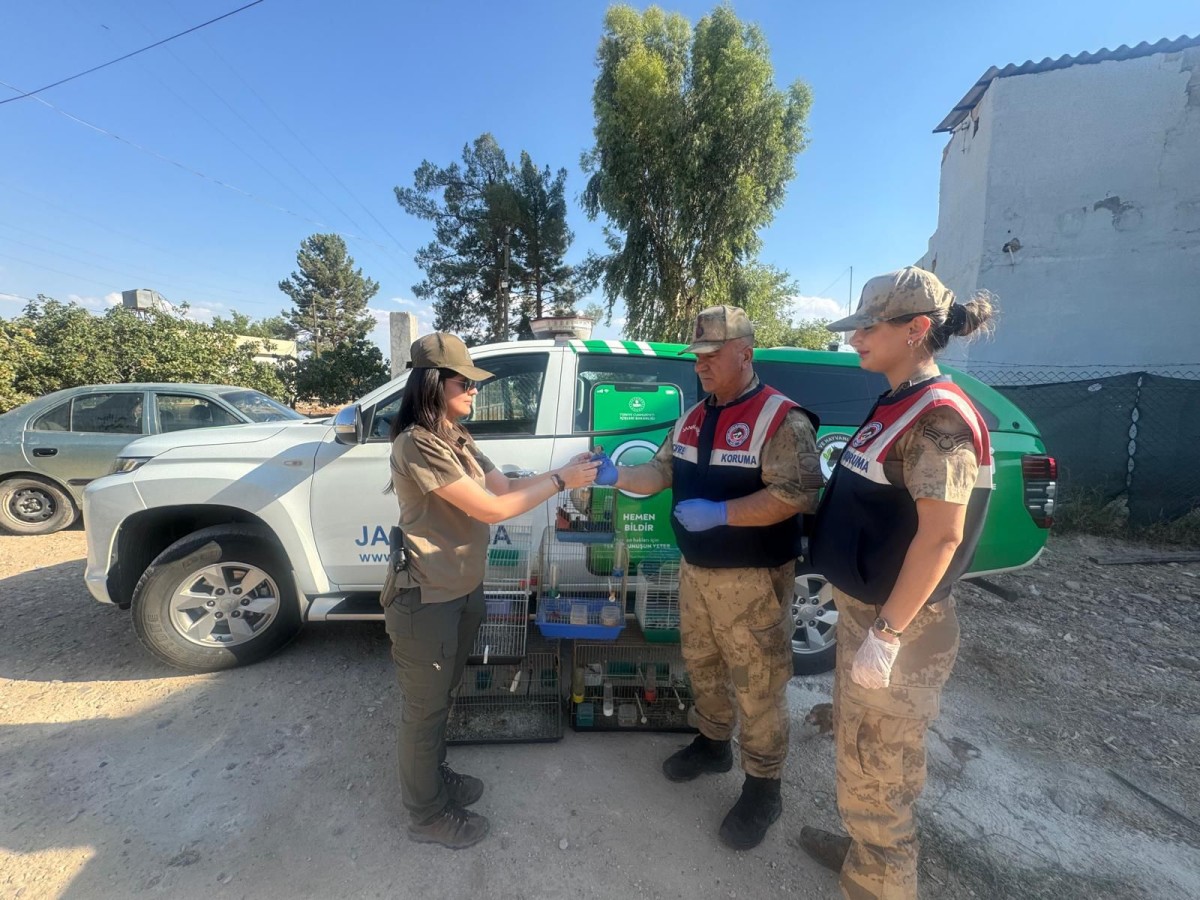 Şanlıurfa’da izinsiz saka kuşu besleyen kişiye para cezası kesildi;