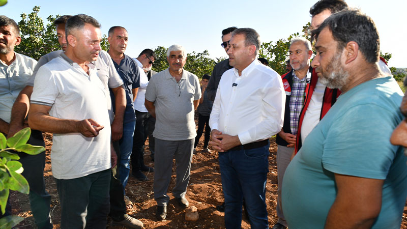 Vali Şıldak erken fıstık hasadına katıldı