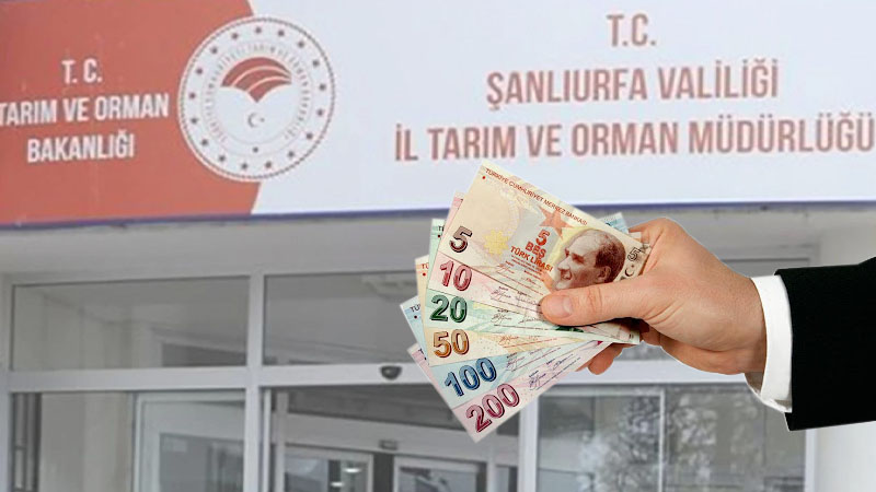 Şanlıurfa İl Tarım ve Orman Müdürlüğü duyurdu: Destekleme başvuruları başladı